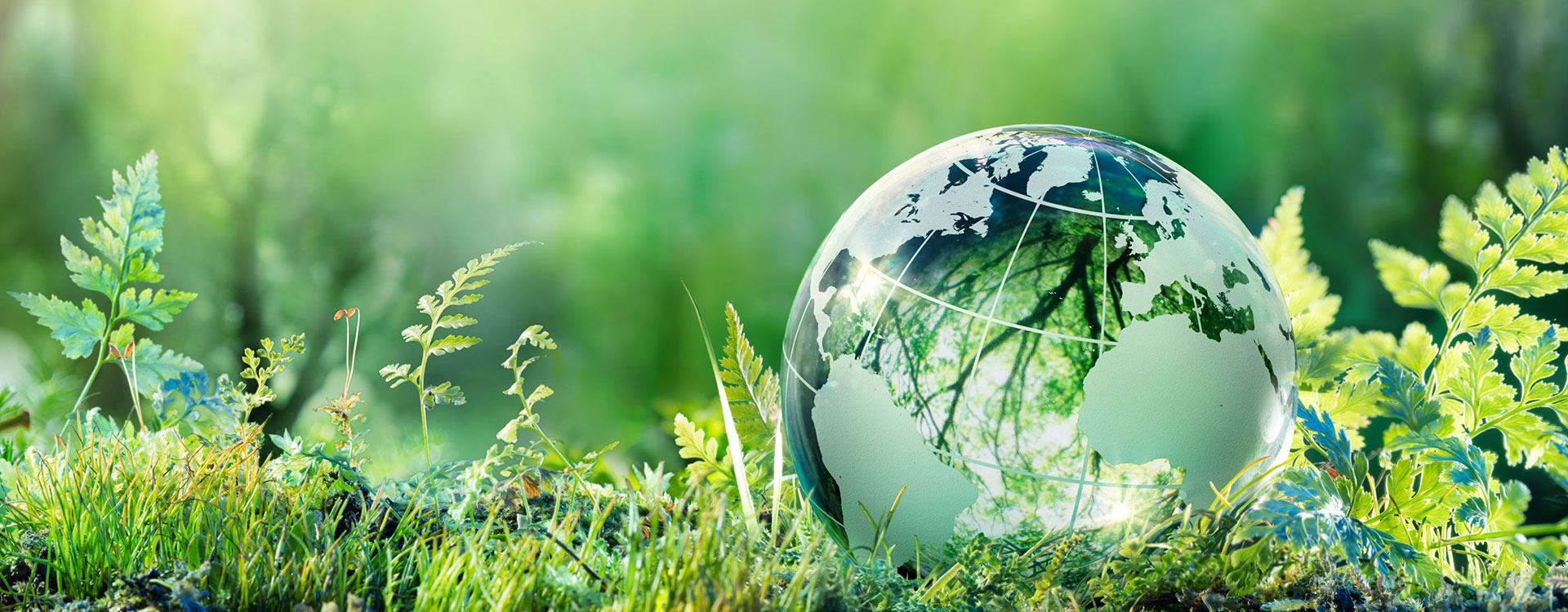 Susbainability de abrasivos FUJISTAR