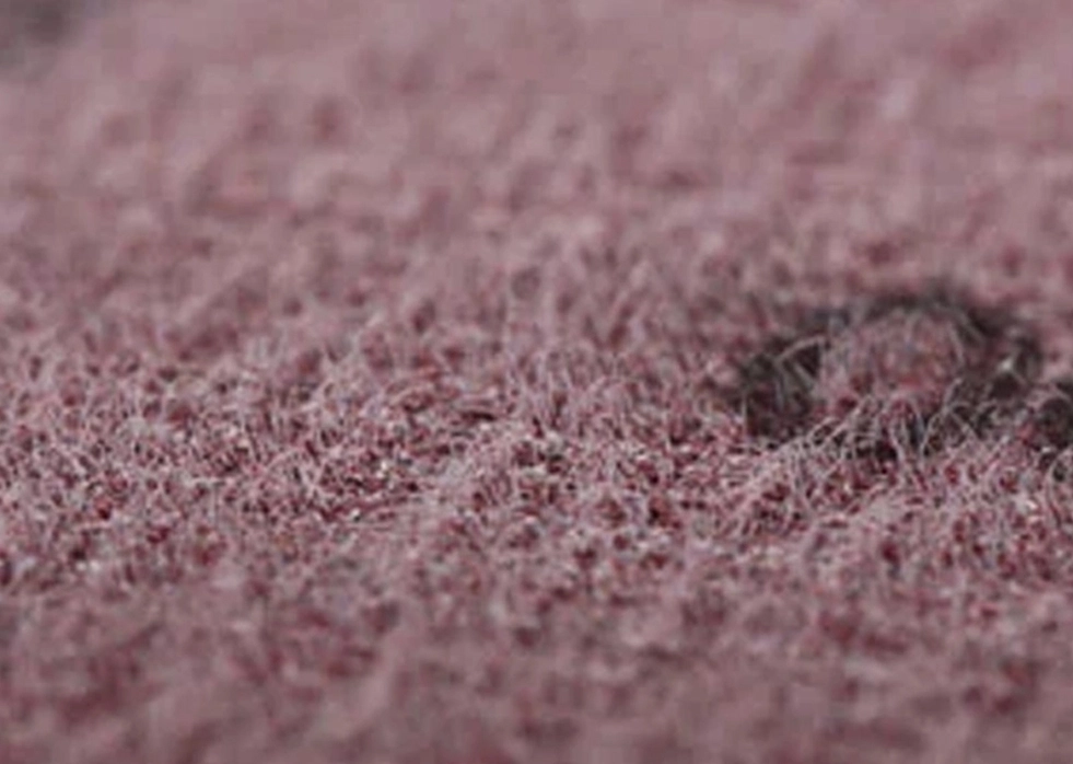 Por que escolher discos de lixamento da FUJISTAR?